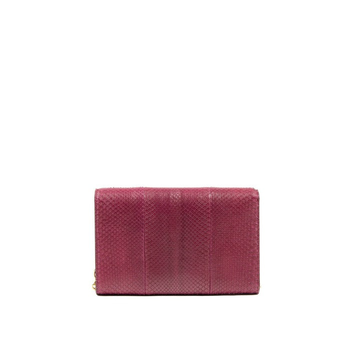 Dee Ocleppo - Firenze Python Clutch